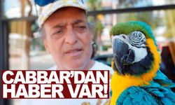 Turgut Özal’ın papağanı kaybolmuştu… 3 gün sonra haber geldi!