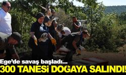 Ege’de kene bırakmayacaklar… 300 tanesi doğaya salındı!