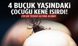4 buçuk yaşındaki çocuğu kene ısırdı!