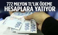 772 milyon TL’lik ödeme hesaplara yatıyor