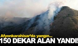 Afyon’da orman yangını… 150 dekar alan zarar gördü!