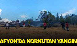 Afyonkarahisar’da ot yangını paniğe neden oldu