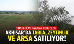 Akhisar’da tarla, zeytinlik ve arsa satılıyor!