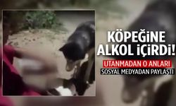 Akılalmaz olay: Köpeğine alkol içirdi!