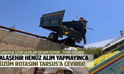 Alaşehir henüz alım yapmayınca üzüm rotasını Tarsus’a çevirdi! Kilosu 16 TL’ye yükseldi…