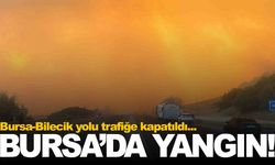 Bursa’da orman yangını… Alevler hayvan çiftliklerine ilerliyor