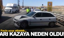 Arının soktuğu sürücü kaza yaptı… Faciadan dönüldü!