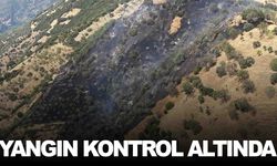 Aydın’da zirai alanda başlayan yangın kontrol altına alındı