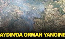 Aydın’da orman yangını: Müdahale havadan ve karadan sürüyor