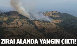Aydın’da zirai alan alevlere teslim oldu!