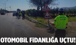 Aydın’da otomobil fidanlığa uçtu!