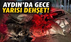 Aydın’da feci kaza: Sürücü hayatını kaybetti
