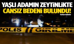 Alzheimer hastası zeytinlikte ölü bulundu