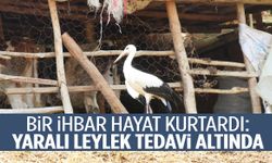 Bir ihbar hayat kurtardı: Gördes’te yaralı leylek tedavi altında