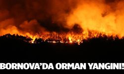 Bornova'da orman yangını! Yerleşim alanlarına yaklaşıyor…