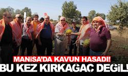 Manisa’nın ilçesinde kavun hasadı… Bu kez Kırkağaç değil!