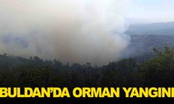 Denizli Buldan’da orman yangını… Karadan ve havadan müdahale sürüyor