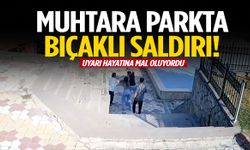 ‘Burada aile var’ diye uyaran muhtar bıçaklandı!