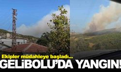 Çanakkale Gelibolu’da orman yangını