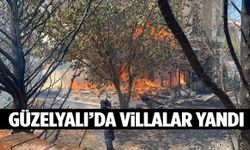 Çanakkale Güzelyalı bölgesinde villalar alevlere teslim oldu!
