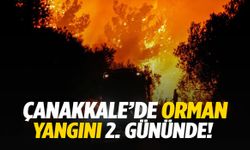 Çanakkale’de orman yangını ikinci gününde: Gözaltılar var