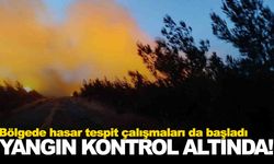 Çanakkale’deki orman yangınları kontrol altına alındı