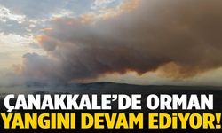 Çanakkale’de orman yangını sürüyor!