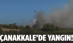Çanakkale’de bir yangın daha başladı!