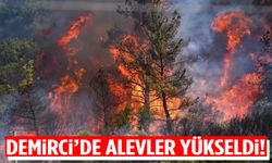 Demirci’de alevler yükseldi!