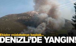 Denizli'de orman yangını başladı… Havadan ve karadan müdahale sürüyor!