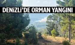 Denizli’de orman yangını! Ekipler yoğun çaba harcıyor…