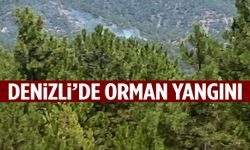 Denizli’de orman yangını! Sarp arazide alevlerle mücadele sürüyor…