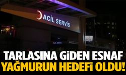 Honaz’da tarlasına giden esnaf, yıldırım çarpması sonucu hayatını kaybetti!