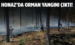 Honaz’da orman yangını çıktı!