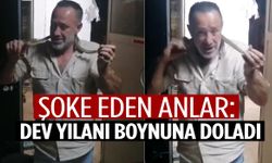 Dev yılanı ‘kanka’ diyerek boynuna doladı!
