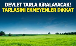 Devlet tarla kiralayacak! Kullanmıyorsanız...