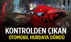 Aydın’da direksiyon hakimiyetini kaybeden sürücü hayatını kaybetti