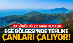 Ege Bölgesi için tarih verildi: 2100 | Çocuklarımız görecek...