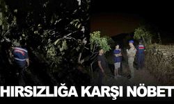 Ege’de tarlalar jandarmaya emanet… 7/24 nöbetteler!