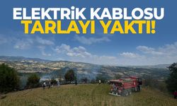 Gördes’te elektrik kablosu tarlayı yaktı!