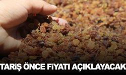 TARİŞ bu yıl önce fiyatı açıklayacak, sonra alım yapacak!