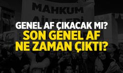 Genel Af Çıkacak Mı? Genel Af En Son Ne Zaman Çıktı?