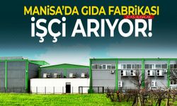 Manisa’da gıda fabrikası işçi arıyor! 20 kişi alınacak