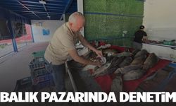 Balık pazarına denetim gerçekleştirildi