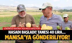 Görünüşü kavuna tadı muza benziyor! Yozgat’tan Manisa’ya gönderiliyor…