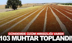 Manisa’da 103 mahalle muhtarı toplandı… Gündemde üzüm hırsızlığı vardı!