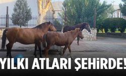 Spil’in simgeleri Manisalıların misafiri oldu