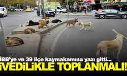 İstanbul Valiliği talimatı verdi… İvedilikle toplanmalı!