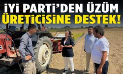 İYİ Partili Aytaç: Üzüm üreticimiz zor durumda