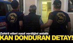 İzmir’de 5 köpek ve 3 kedi zehirlenerek öldürülmüştü… Yeni gelişmeler var!